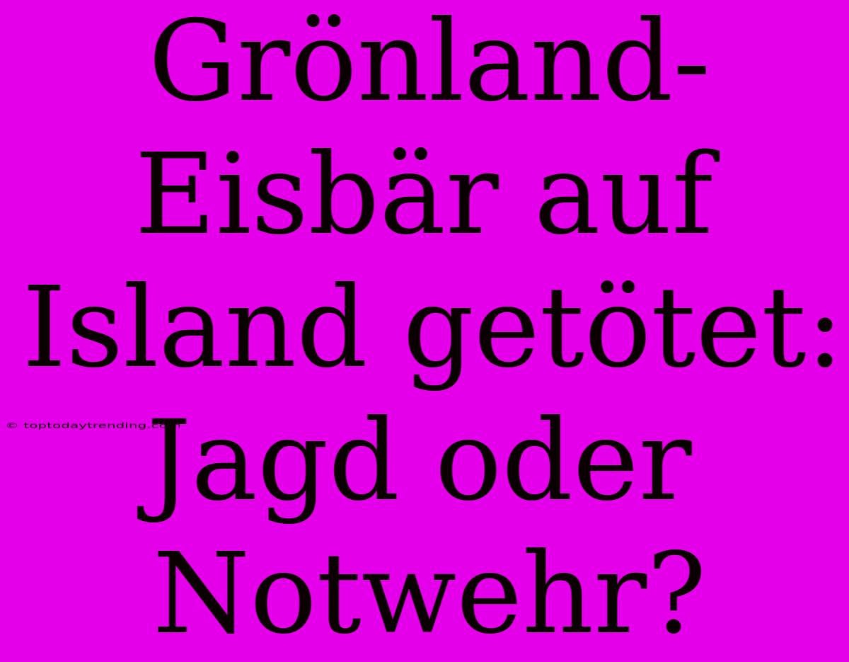 Grönland-Eisbär Auf Island Getötet: Jagd Oder Notwehr?