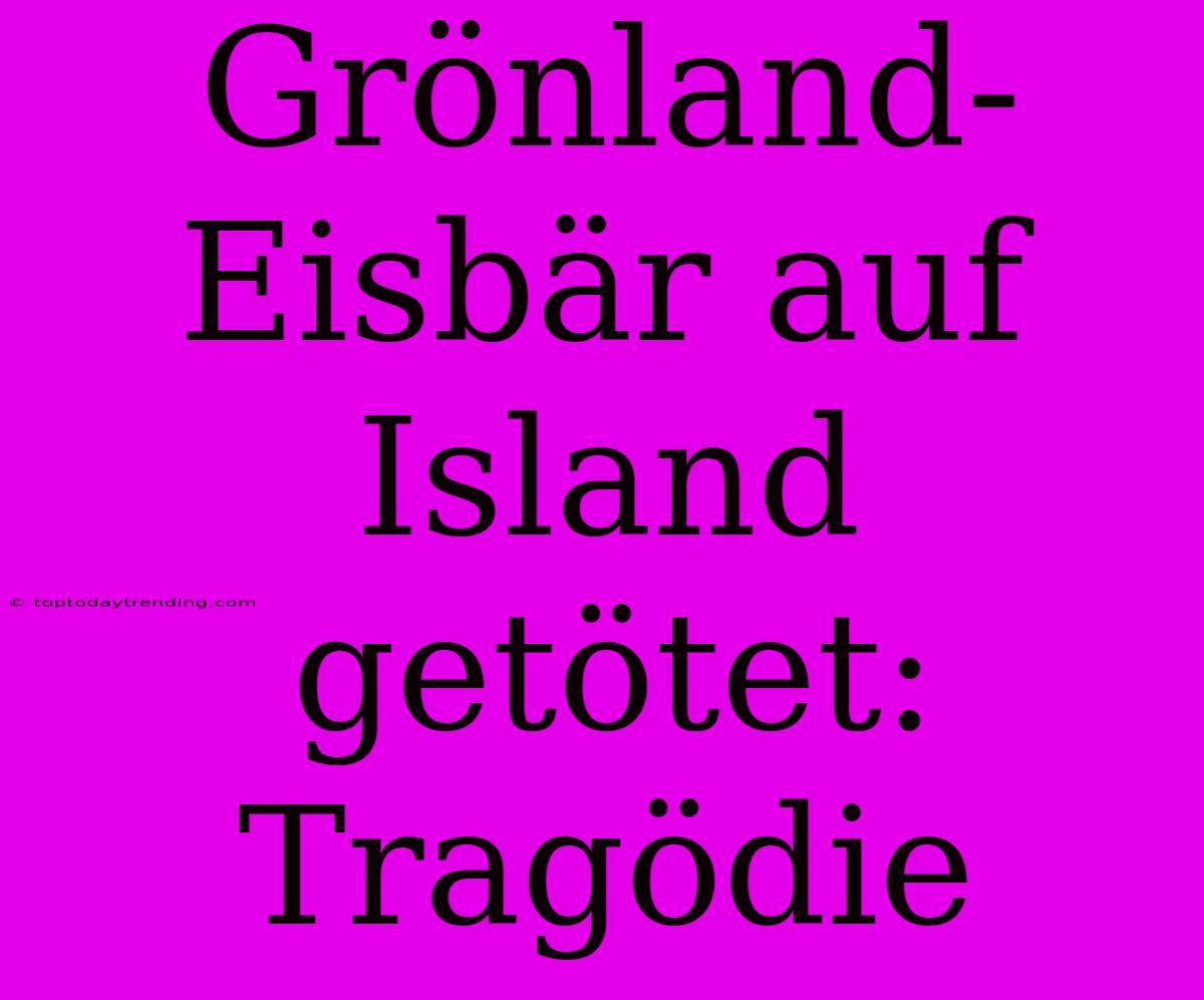 Grönland-Eisbär Auf Island Getötet: Tragödie