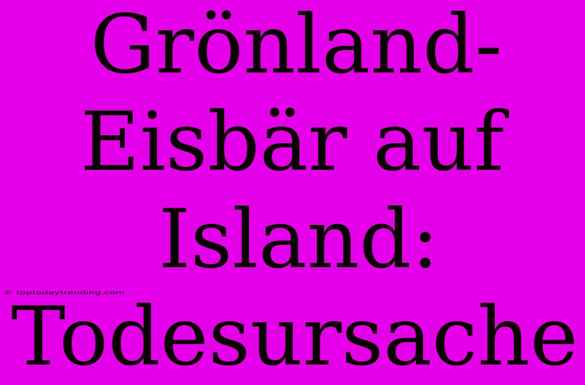 Grönland-Eisbär Auf Island: Todesursache