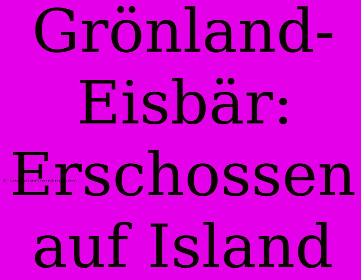 Grönland-Eisbär: Erschossen Auf Island