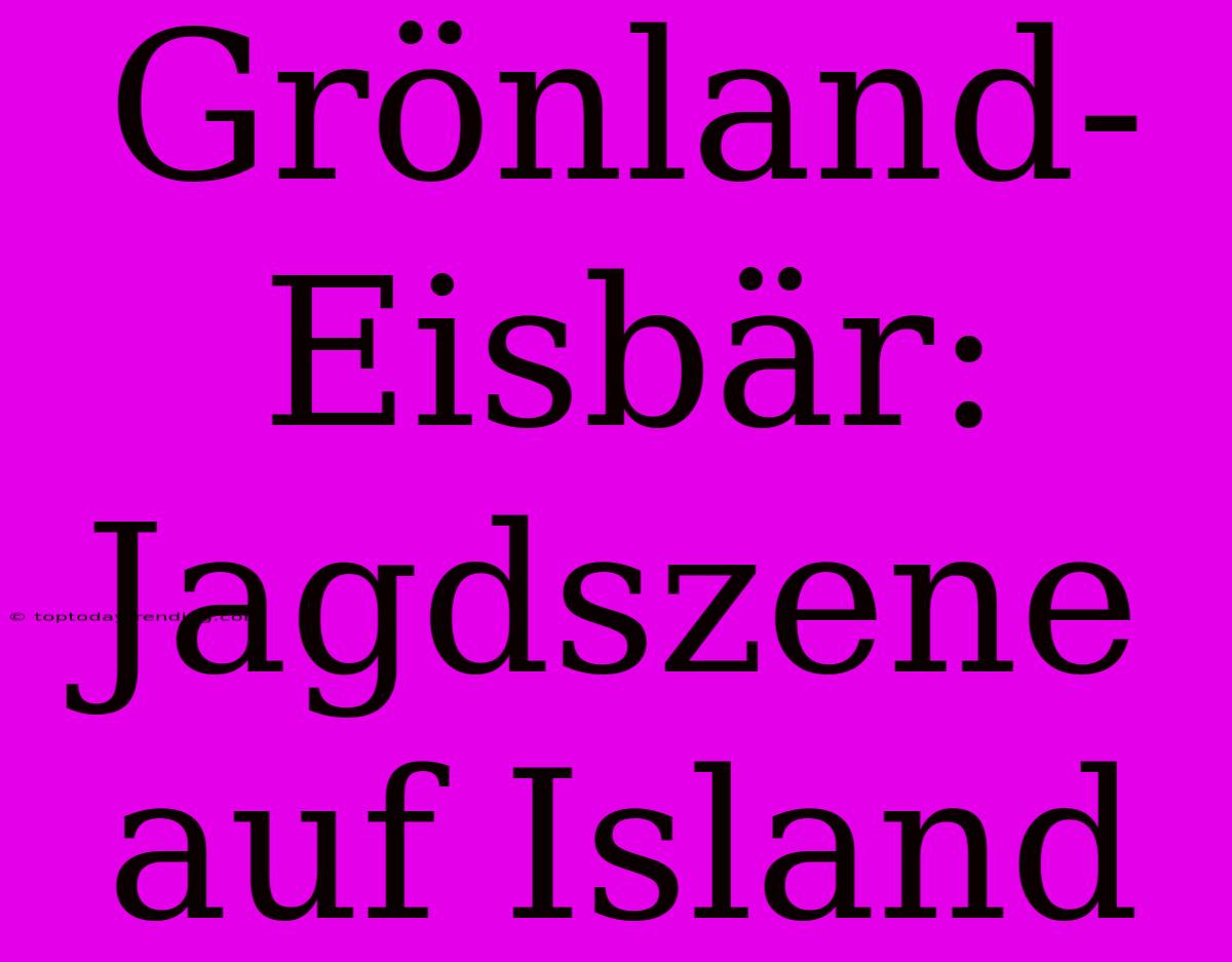 Grönland-Eisbär: Jagdszene Auf Island