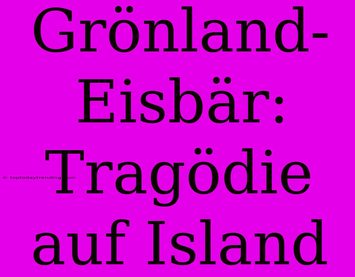 Grönland-Eisbär: Tragödie Auf Island