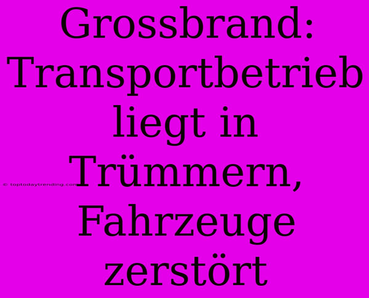 Grossbrand: Transportbetrieb Liegt In Trümmern, Fahrzeuge Zerstört