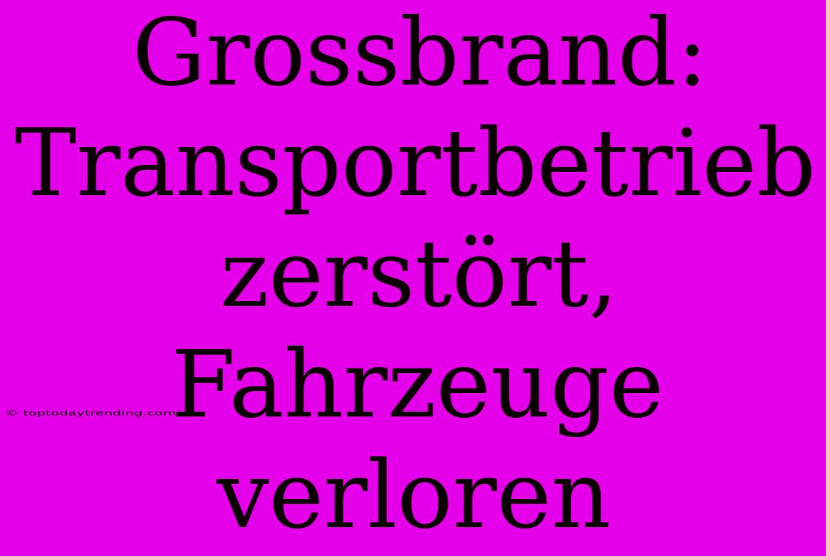 Grossbrand: Transportbetrieb Zerstört, Fahrzeuge Verloren