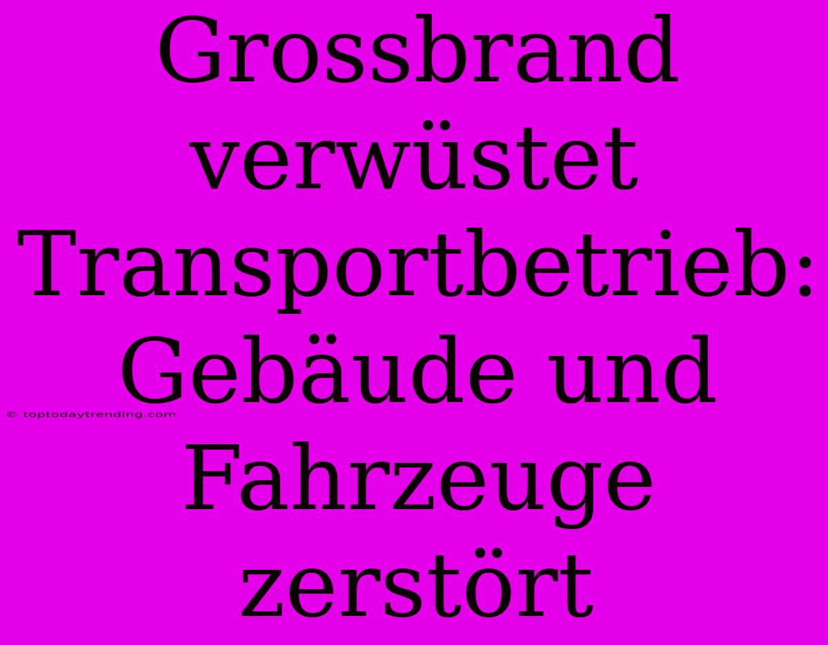 Grossbrand Verwüstet Transportbetrieb: Gebäude Und Fahrzeuge Zerstört