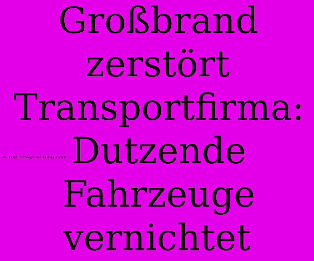 Großbrand Zerstört Transportfirma: Dutzende Fahrzeuge Vernichtet