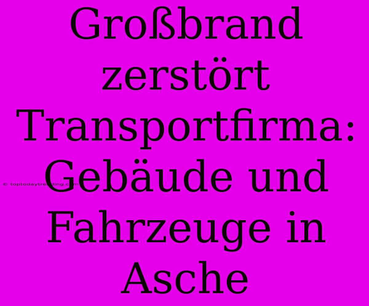 Großbrand Zerstört Transportfirma: Gebäude Und Fahrzeuge In Asche