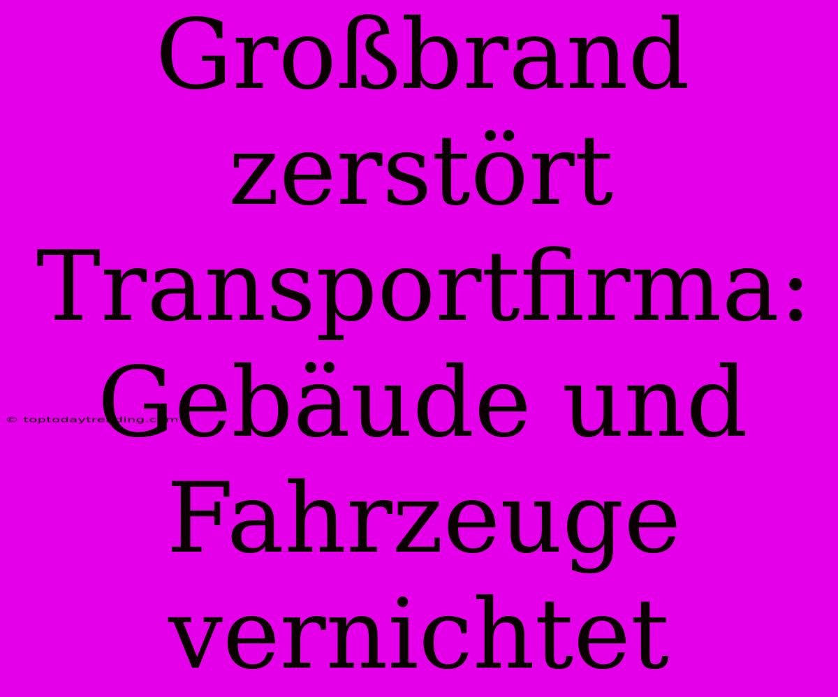 Großbrand Zerstört Transportfirma: Gebäude Und Fahrzeuge Vernichtet