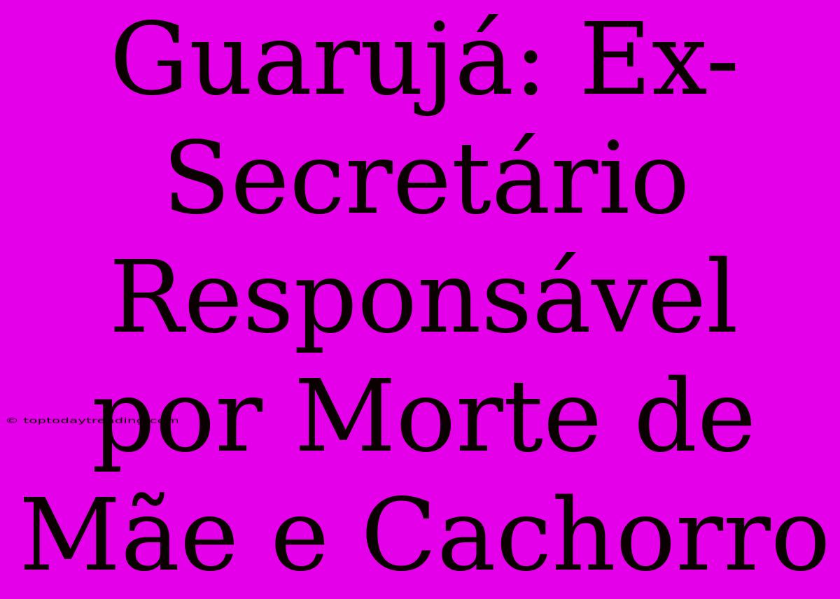 Guarujá: Ex-Secretário Responsável Por Morte De Mãe E Cachorro