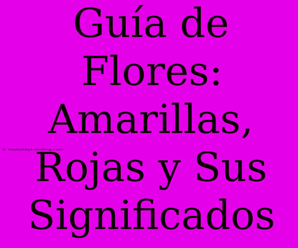 Guía De Flores: Amarillas, Rojas Y Sus Significados