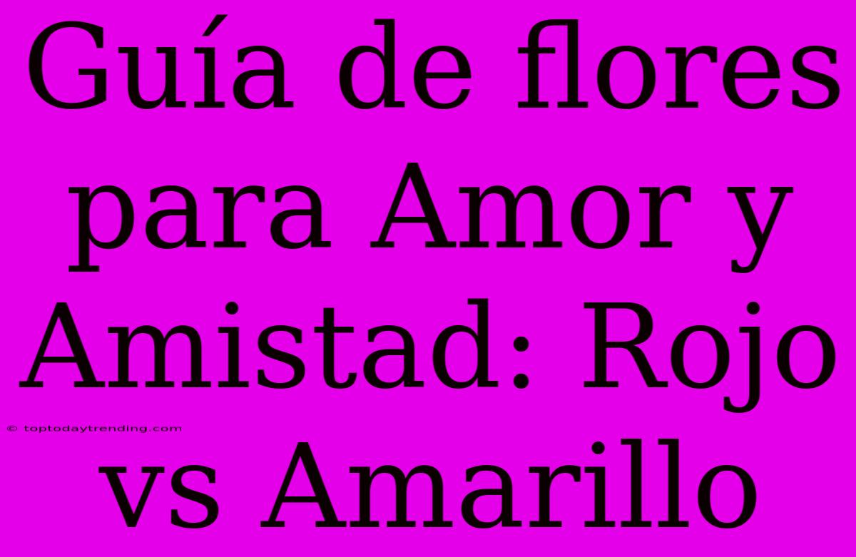 Guía De Flores Para Amor Y Amistad: Rojo Vs Amarillo