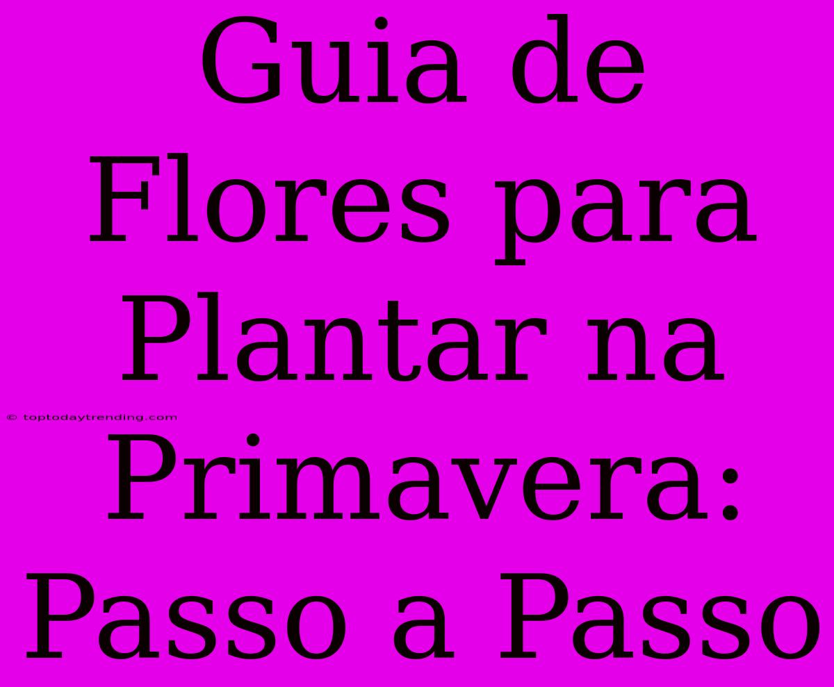 Guia De Flores Para Plantar Na Primavera: Passo A Passo