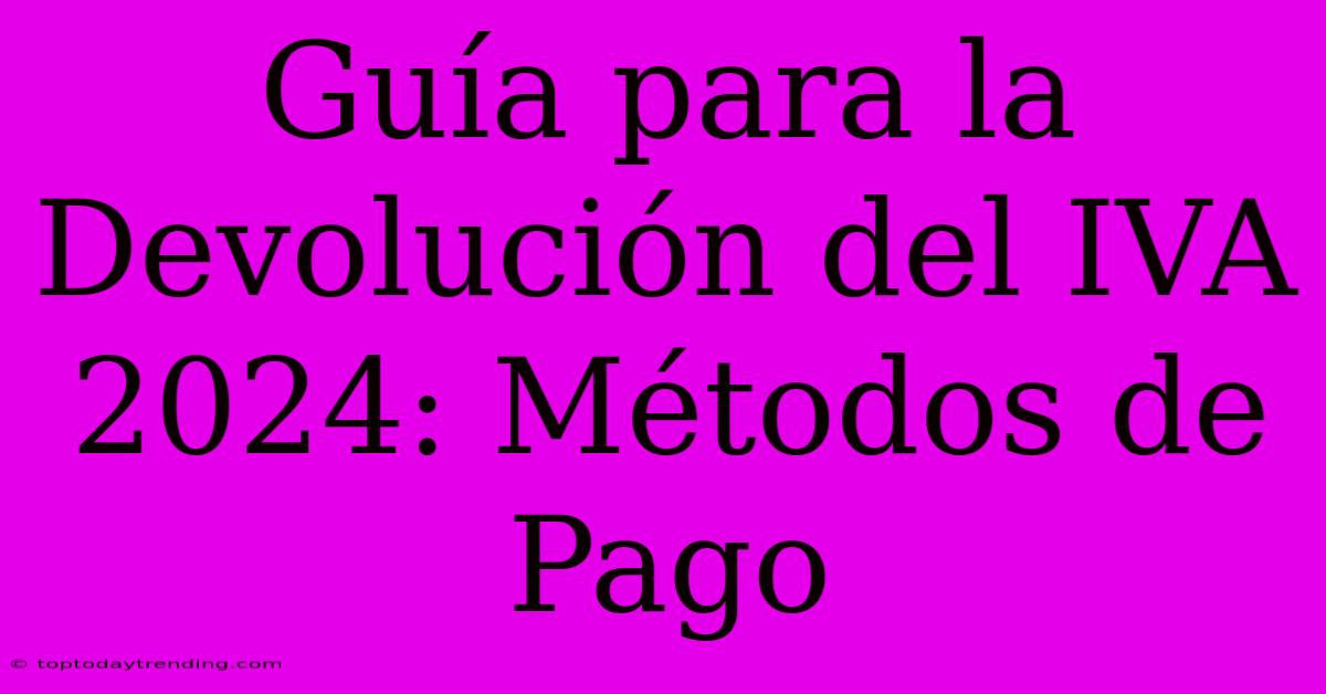 Guía Para La Devolución Del IVA 2024: Métodos De Pago