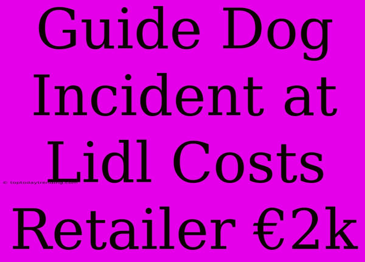 Guide Dog Incident At Lidl Costs Retailer €2k