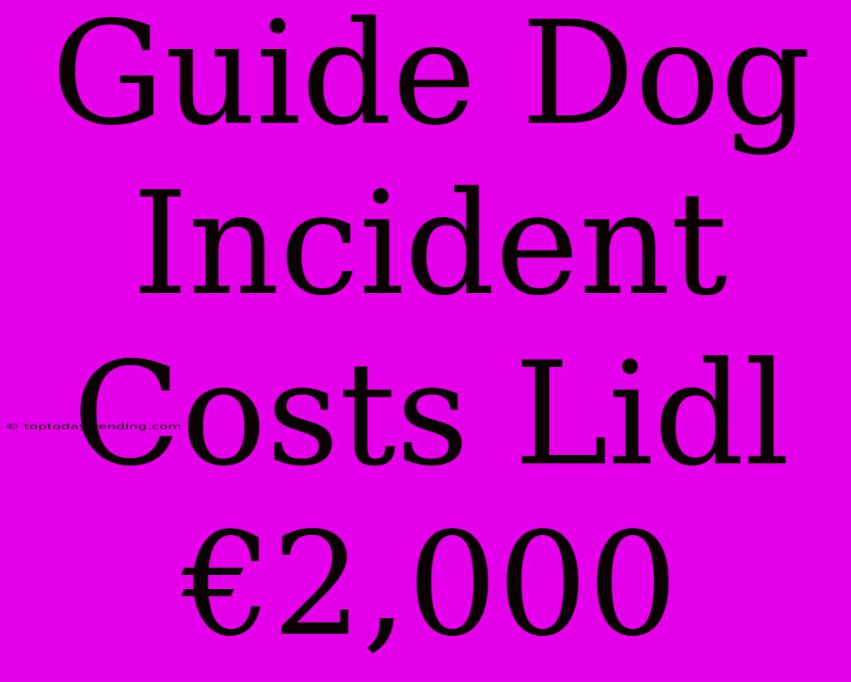 Guide Dog Incident Costs Lidl €2,000