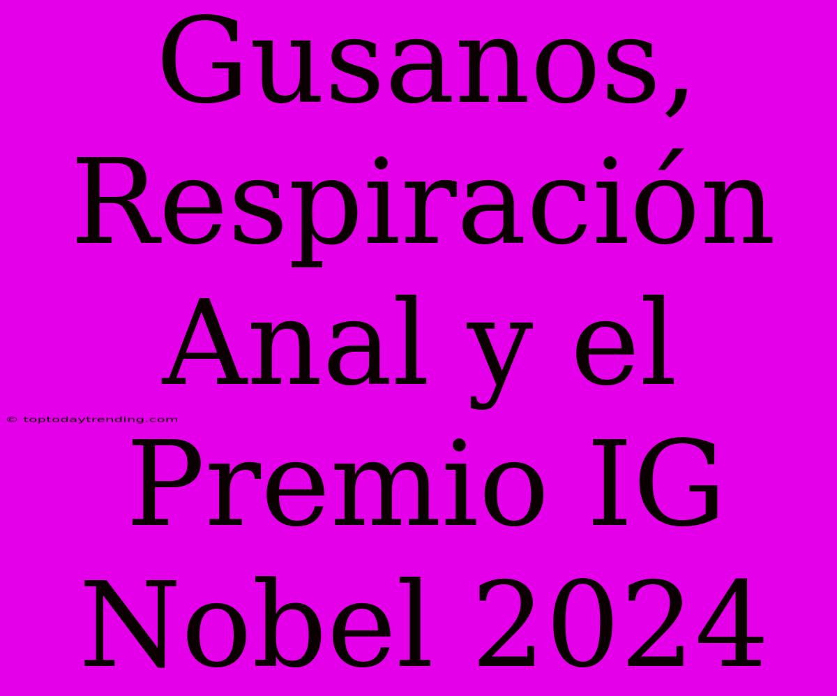 Gusanos, Respiración Anal Y El Premio IG Nobel 2024