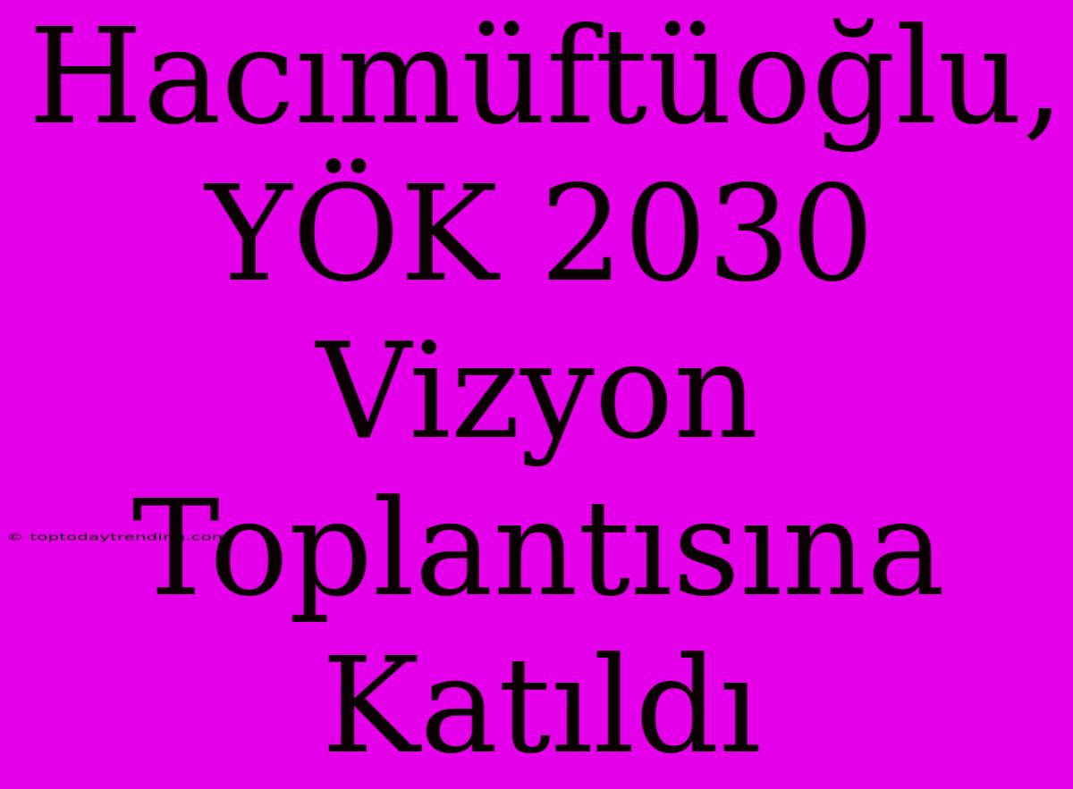 Hacımüftüoğlu, YÖK 2030 Vizyon Toplantısına Katıldı