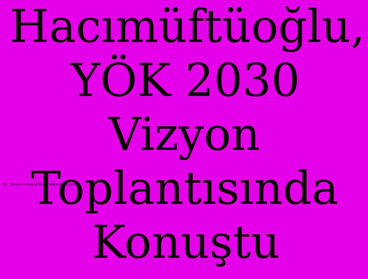 Hacımüftüoğlu, YÖK 2030 Vizyon Toplantısında Konuştu