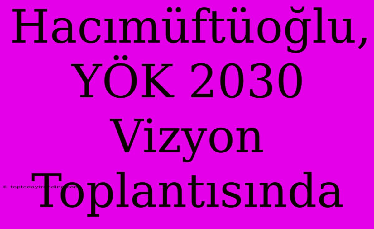 Hacımüftüoğlu, YÖK 2030 Vizyon Toplantısında