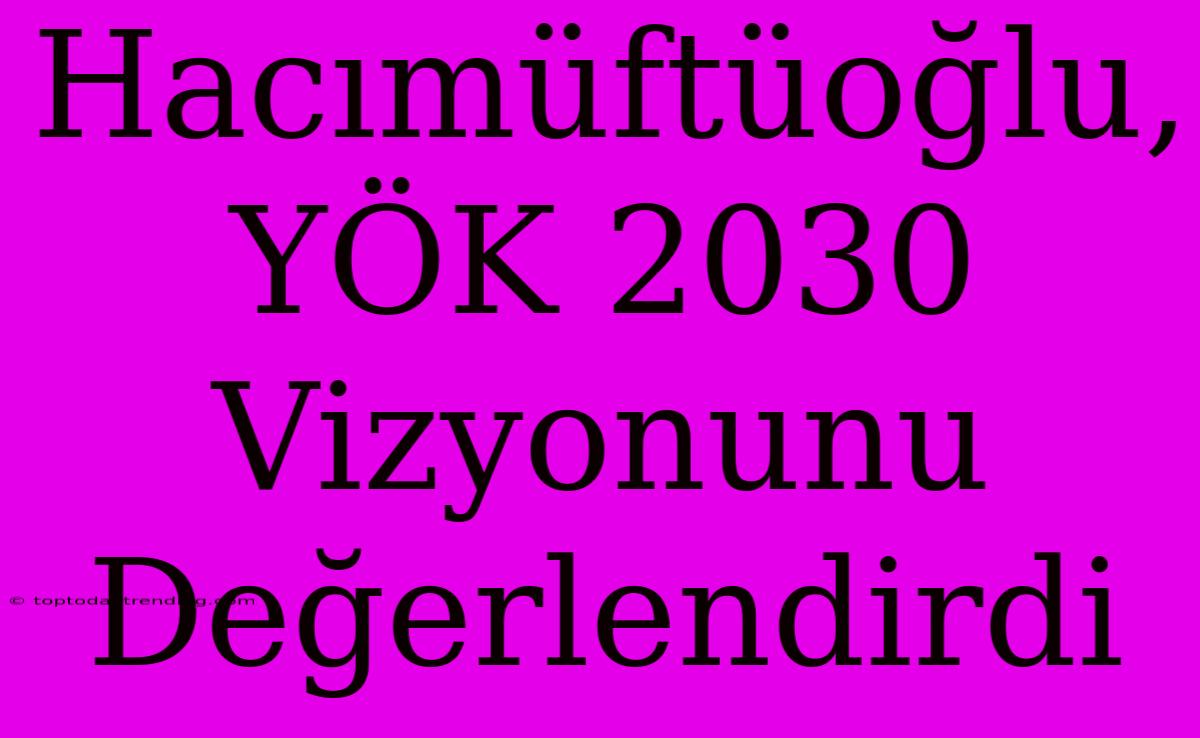 Hacımüftüoğlu, YÖK 2030 Vizyonunu Değerlendirdi