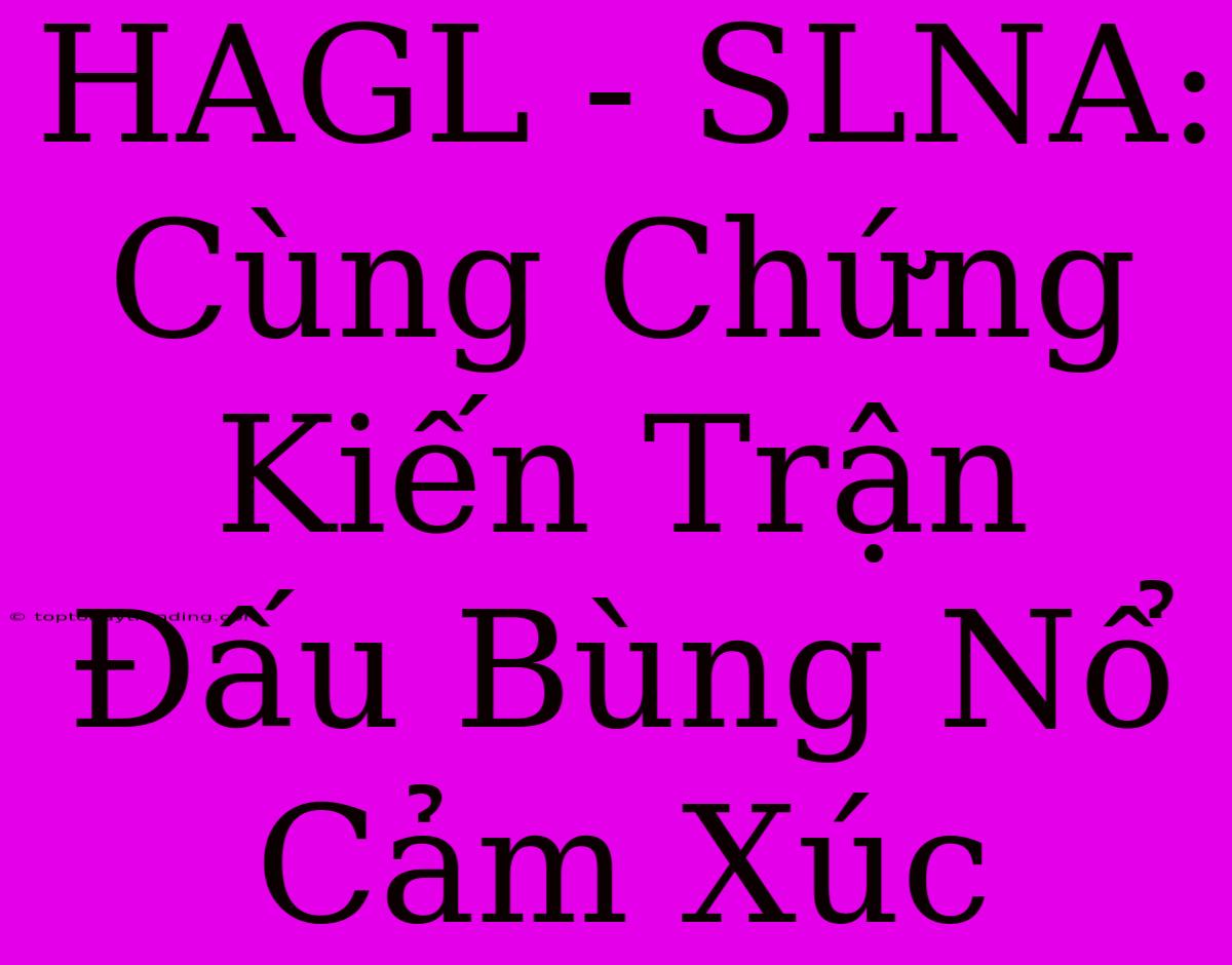 HAGL - SLNA: Cùng Chứng Kiến Trận Đấu Bùng Nổ Cảm Xúc