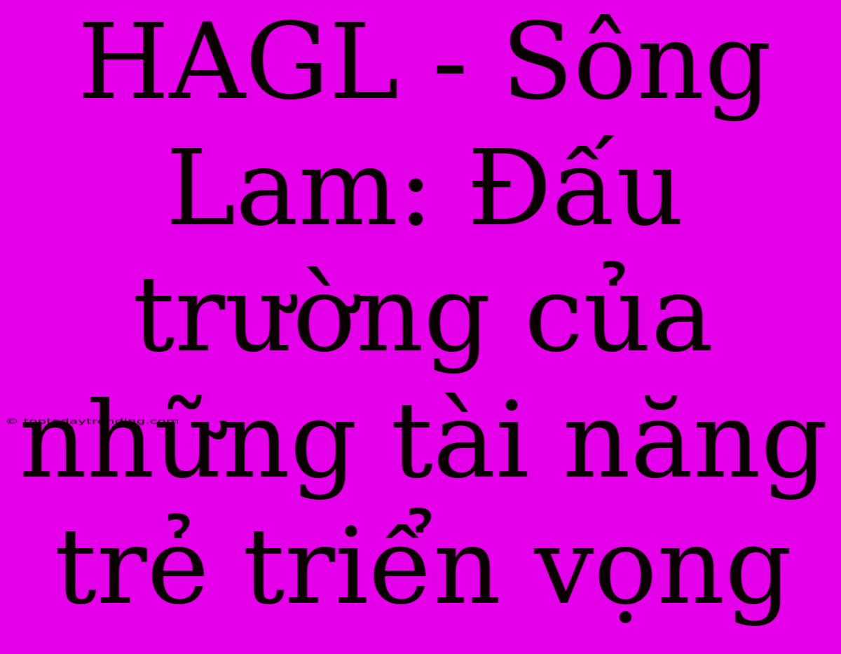 HAGL - Sông Lam: Đấu Trường Của Những Tài Năng Trẻ Triển Vọng