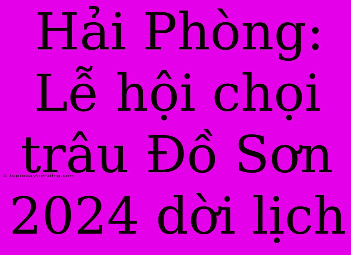 Hải Phòng: Lễ Hội Chọi Trâu Đồ Sơn 2024 Dời Lịch