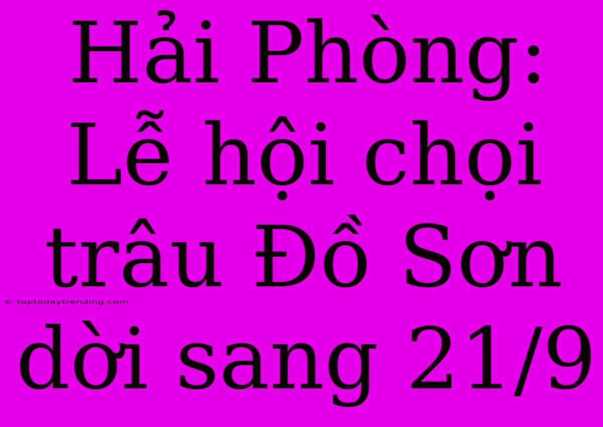 Hải Phòng: Lễ Hội Chọi Trâu Đồ Sơn Dời Sang 21/9