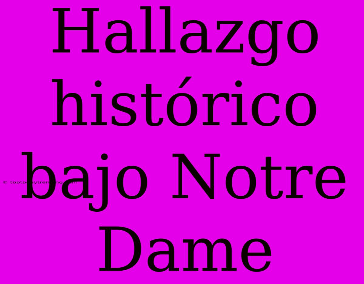 Hallazgo Histórico Bajo Notre Dame