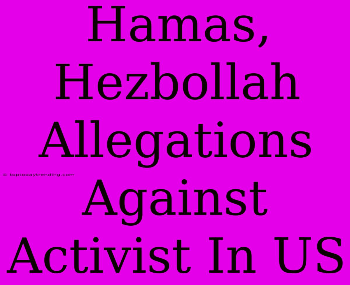 Hamas, Hezbollah Allegations Against Activist In US