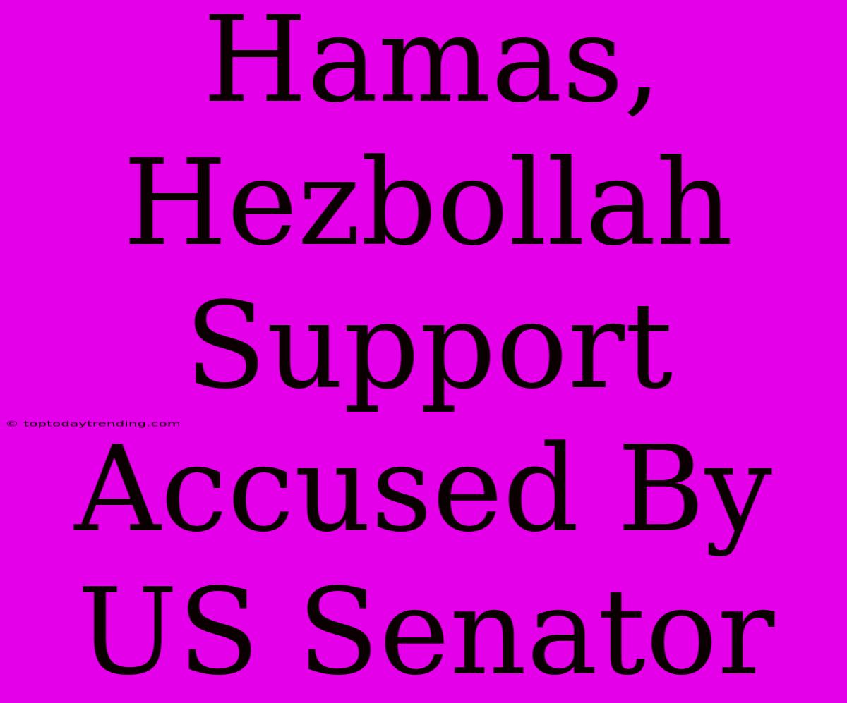 Hamas, Hezbollah Support Accused By US Senator