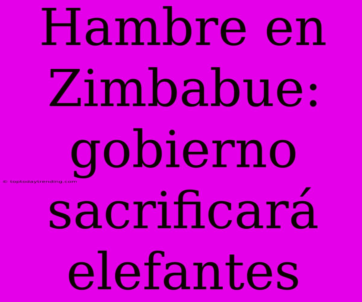 Hambre En Zimbabue: Gobierno Sacrificará Elefantes