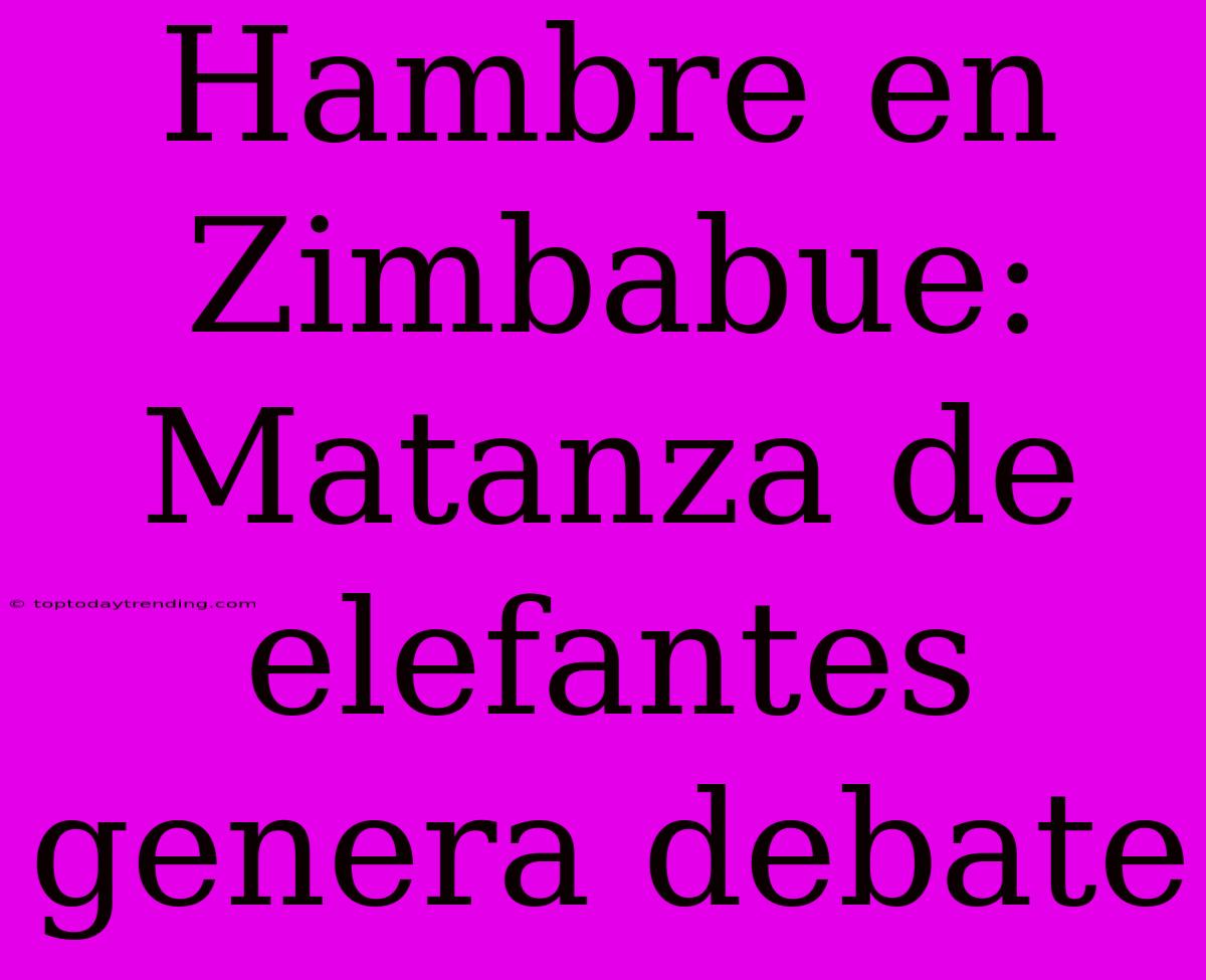 Hambre En Zimbabue: Matanza De Elefantes Genera Debate