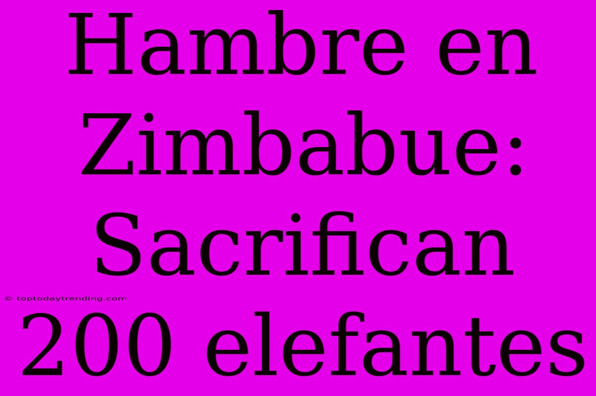 Hambre En Zimbabue: Sacrifican 200 Elefantes