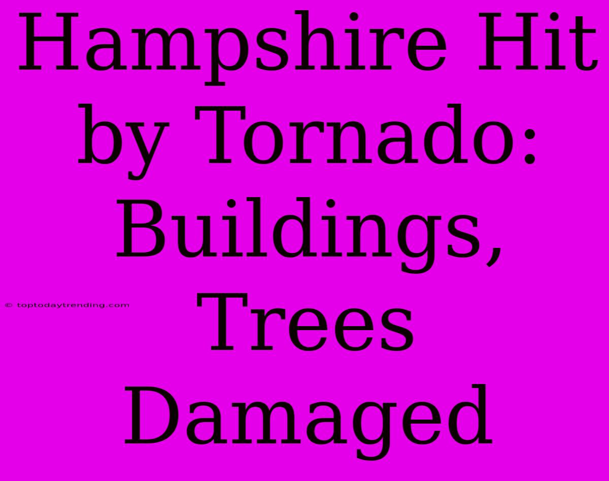 Hampshire Hit By Tornado: Buildings, Trees Damaged