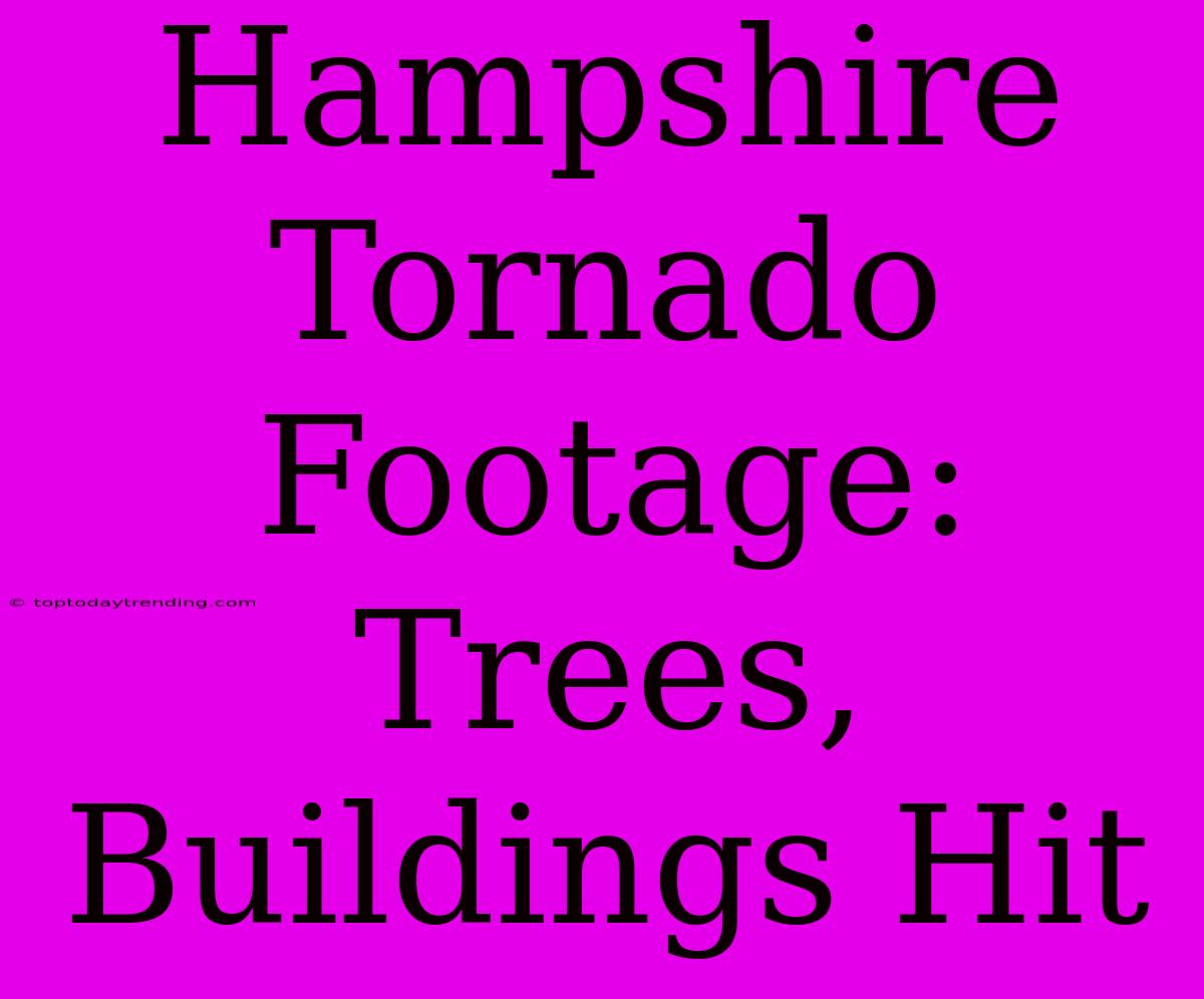 Hampshire Tornado Footage: Trees, Buildings Hit