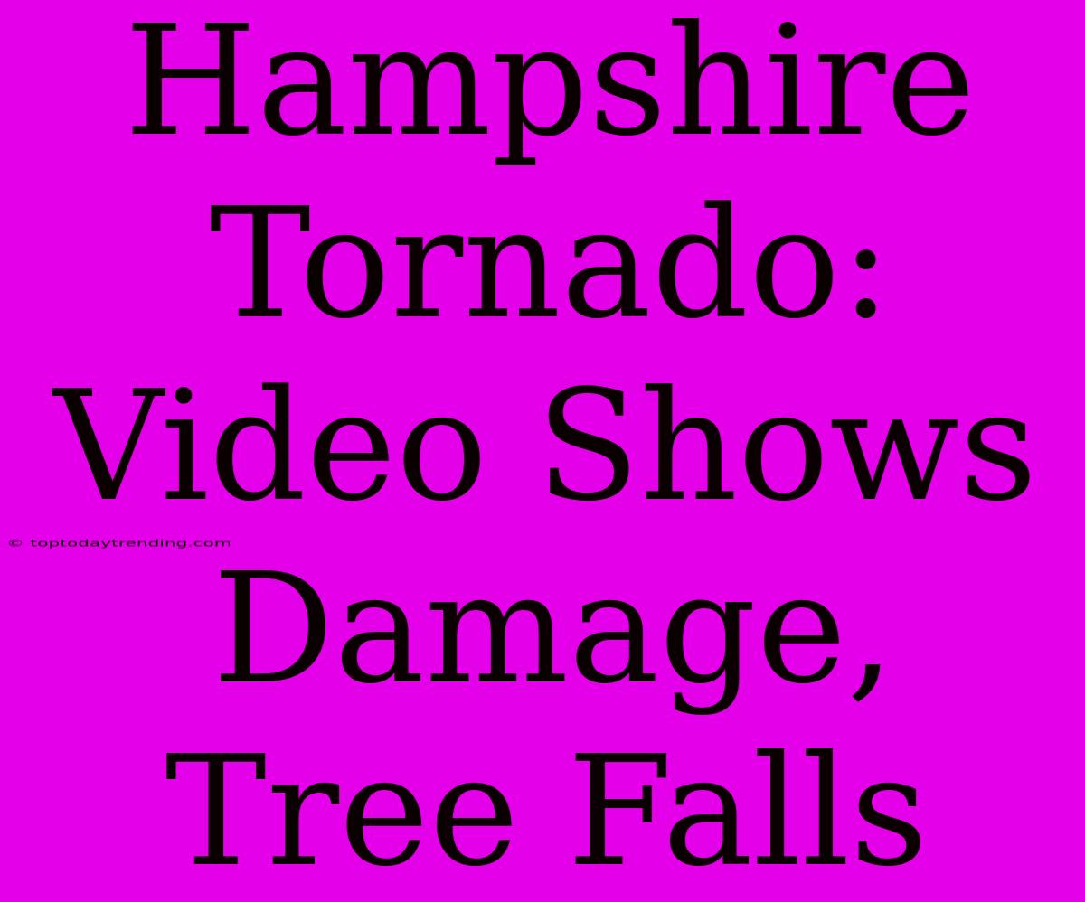 Hampshire Tornado: Video Shows Damage, Tree Falls