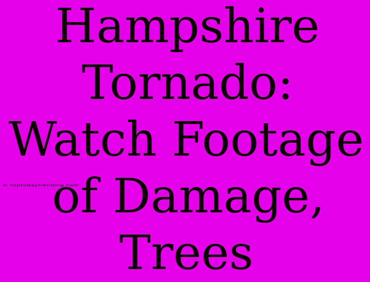 Hampshire Tornado: Watch Footage Of Damage, Trees