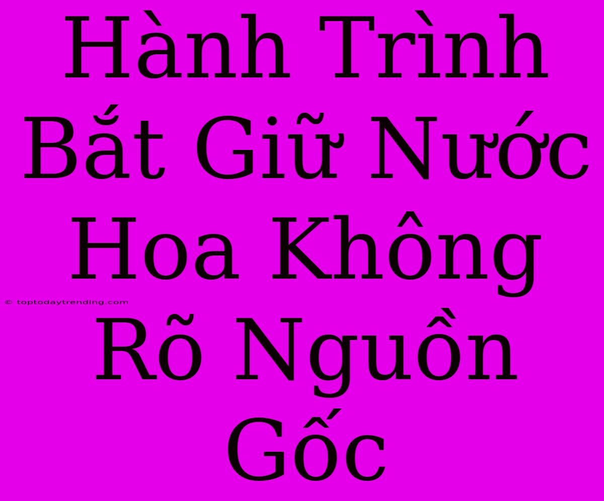 Hành Trình Bắt Giữ Nước Hoa Không Rõ Nguồn Gốc