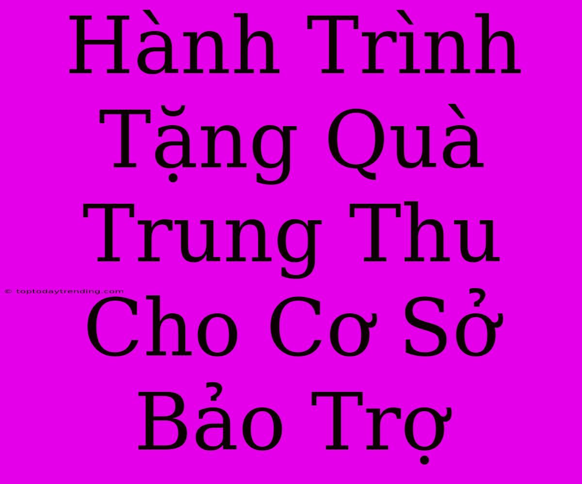 Hành Trình Tặng Quà Trung Thu Cho Cơ Sở Bảo Trợ