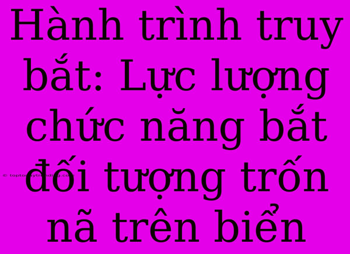 Hành Trình Truy Bắt: Lực Lượng Chức Năng Bắt Đối Tượng Trốn Nã Trên Biển