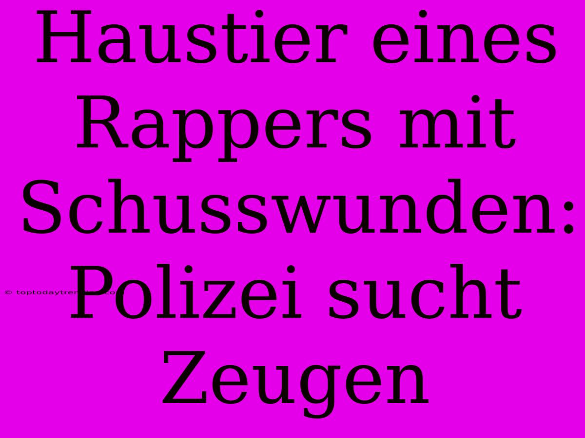 Haustier Eines Rappers Mit Schusswunden: Polizei Sucht Zeugen