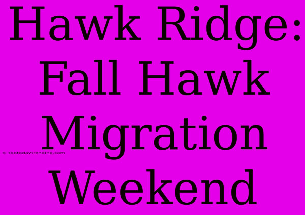 Hawk Ridge: Fall Hawk Migration Weekend