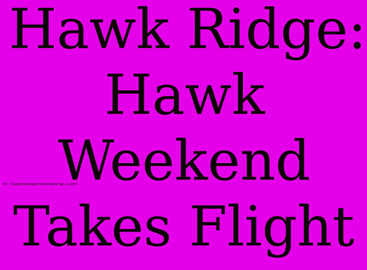 Hawk Ridge: Hawk Weekend Takes Flight