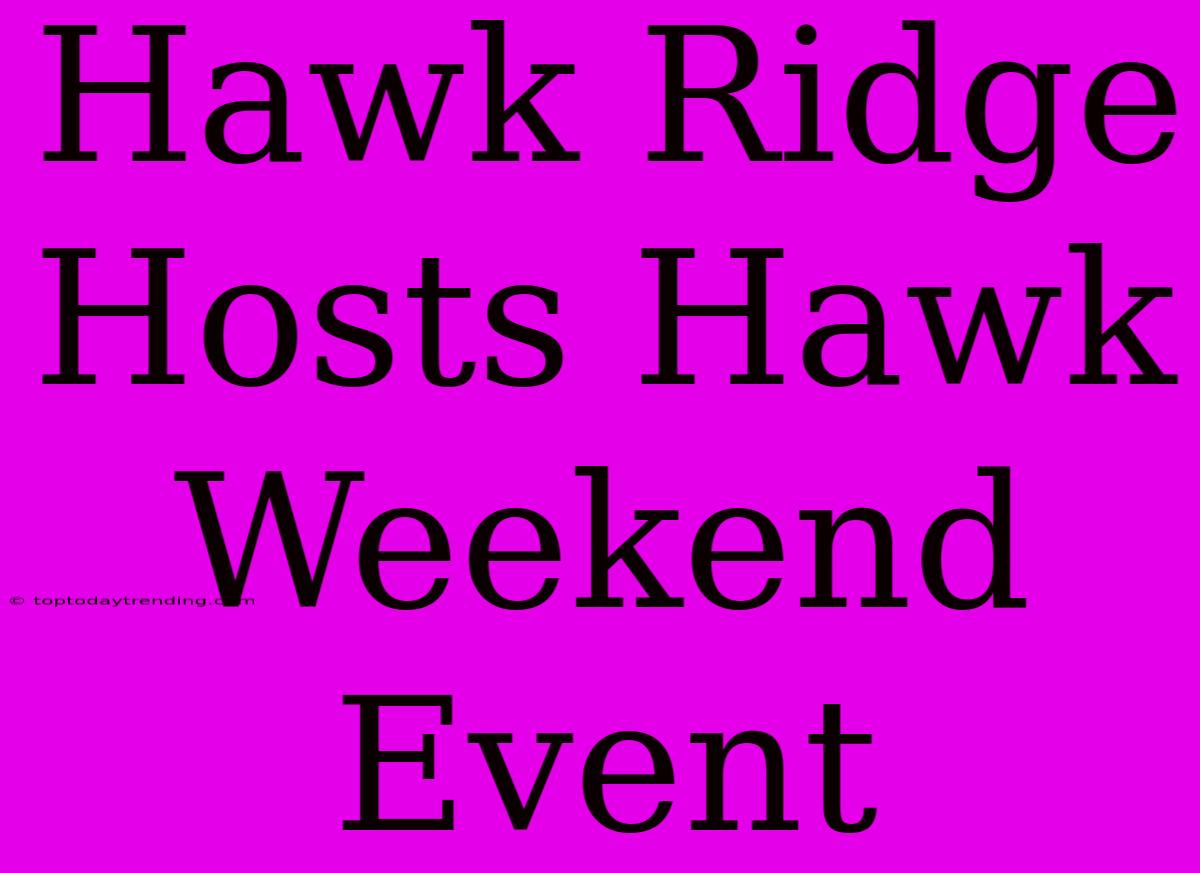 Hawk Ridge Hosts Hawk Weekend Event