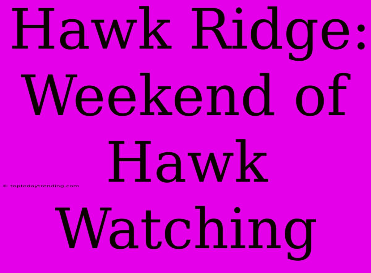 Hawk Ridge: Weekend Of Hawk Watching