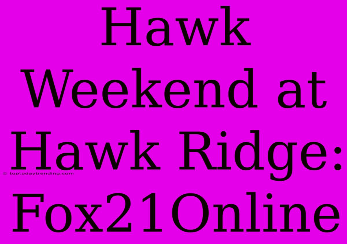 Hawk Weekend At Hawk Ridge: Fox21Online