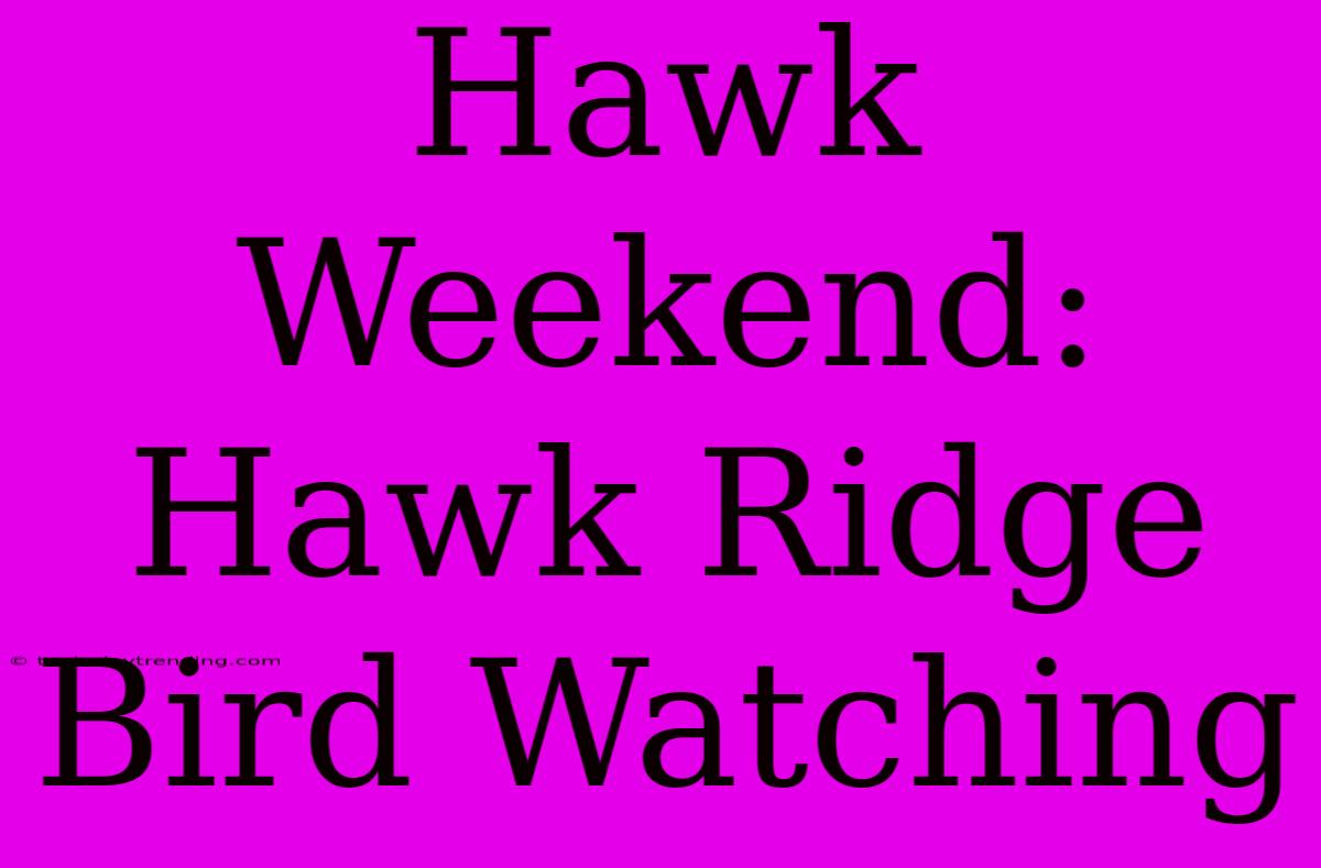 Hawk Weekend: Hawk Ridge Bird Watching