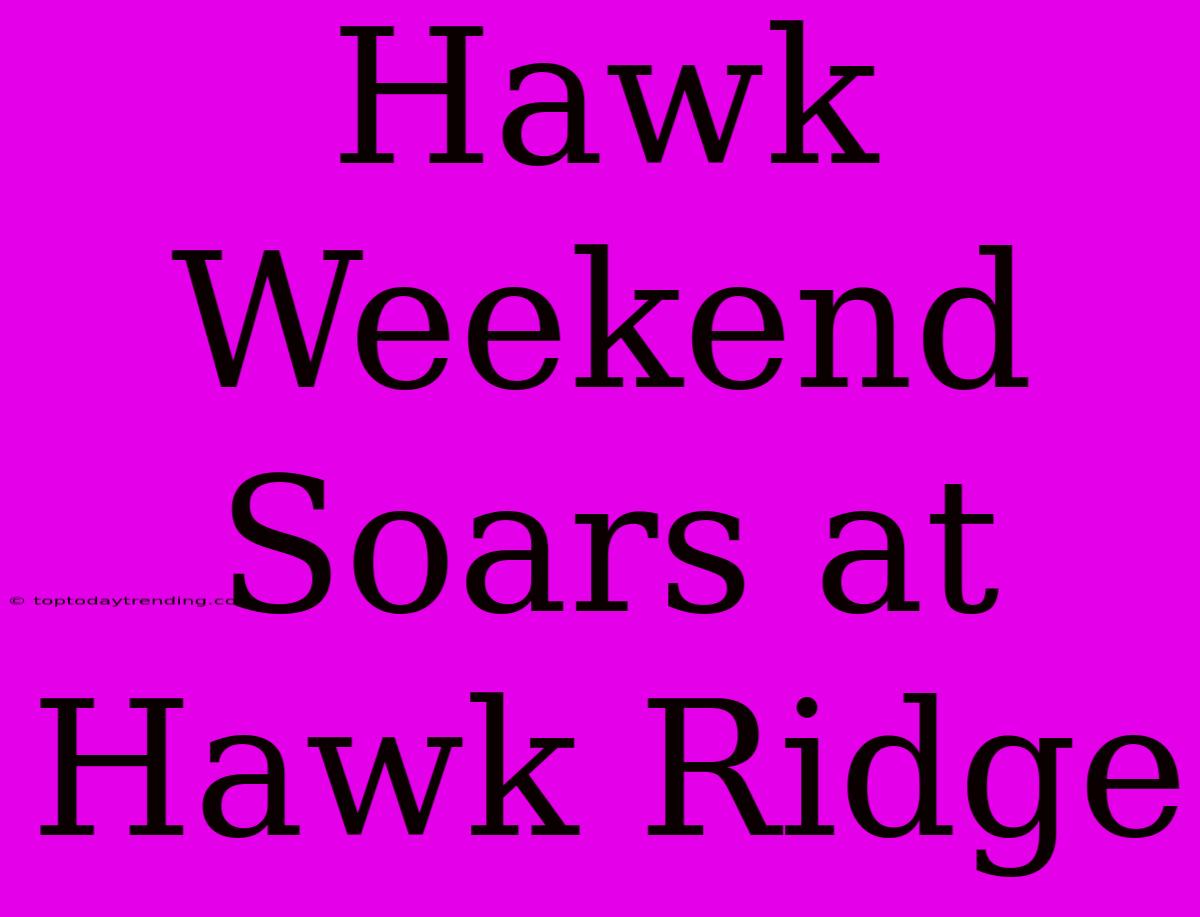 Hawk Weekend Soars At Hawk Ridge