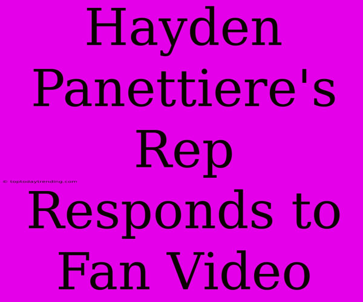 Hayden Panettiere's Rep Responds To Fan Video